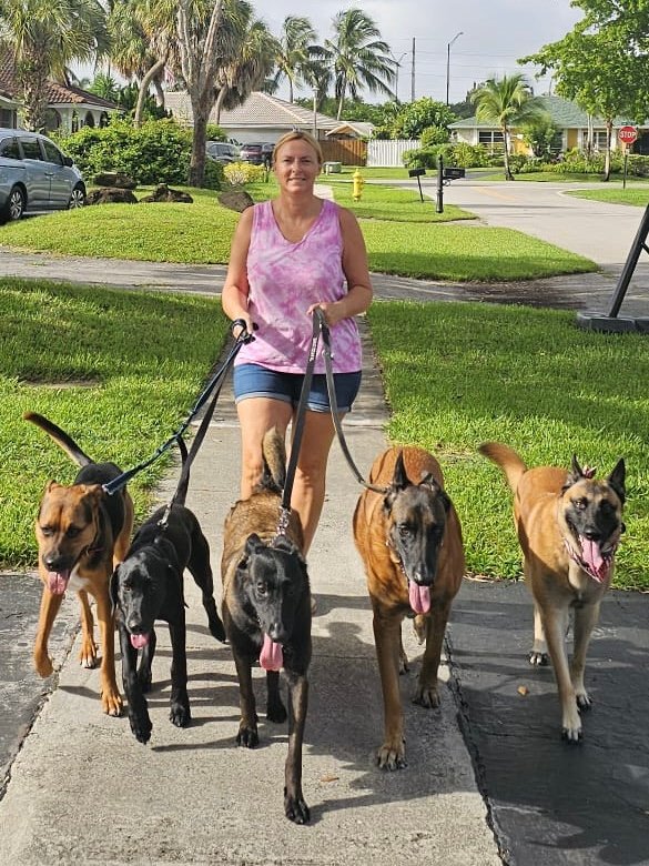 Hi! I'm Jenny – the heart (and the cuddles) behind Paws House. We moved to Florida in 2021, as a family, with our dogs, our cat and our suitcases… and most of all, a shared passion: our love for dogs. That passion came from my husband, my partner for over 30 years, who has always been truly devoted to dogs. He worked as a K9 handler in the army and police, and as an instructor, training both dogs and their handlers. In our home, dogs have always been a big part of our lives – and of our dreams. Over the years, working side by side with my husband, I learned, observed, practiced, and most importantly, I fell in love with this job. Slowly but surely, I found my own way, my own voice, and my own place in this beautiful world of dog training. Naturally, our daughter Lindsay and our son Ryan followed the same path. They now shares this beautiful adventure with us at Paws House. This project is the result of a lifelong passion, a love story  and a dream come true. And every dog who walks through our door becomes a little part of our family.